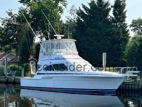 Bertram 39 Convertible ficha tecnica 